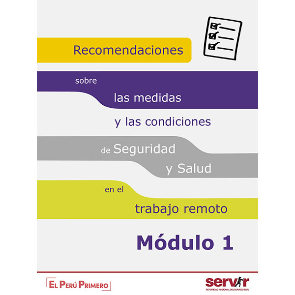 Recomendaciones de SST Remoto (Módulo 1)